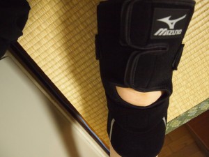 Mizuno バイオギアサポーター