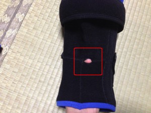 IMG_1554_kome